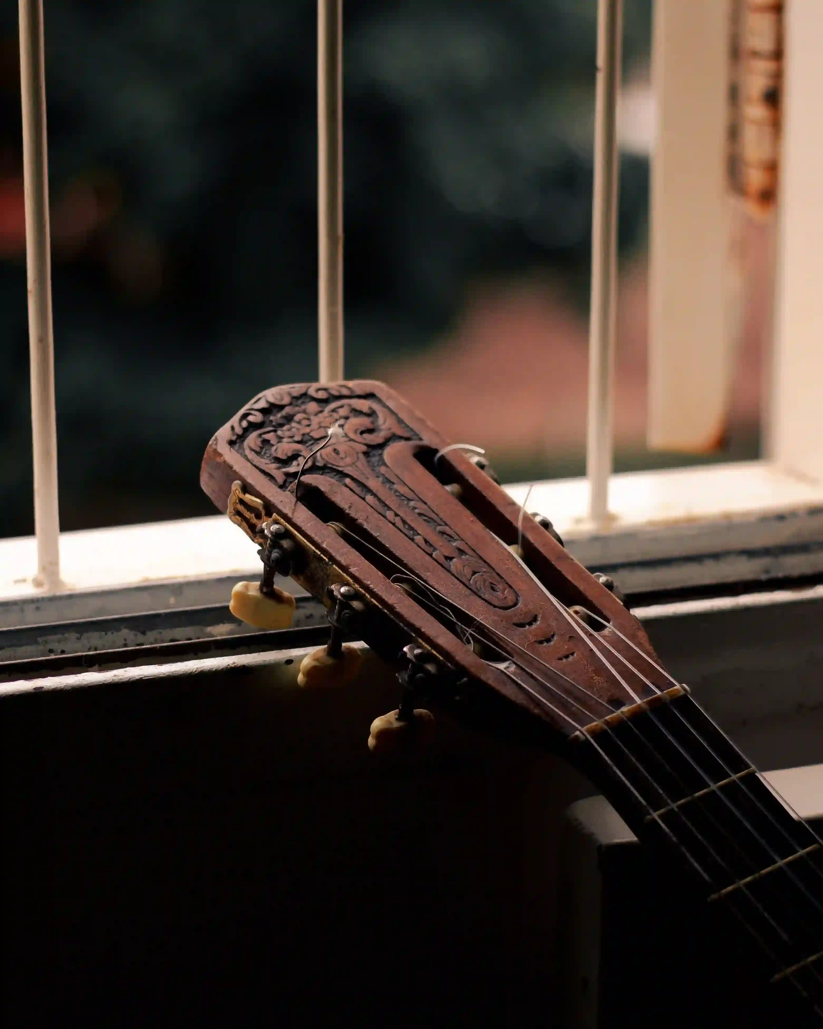 Close up of my acoustic guitar.